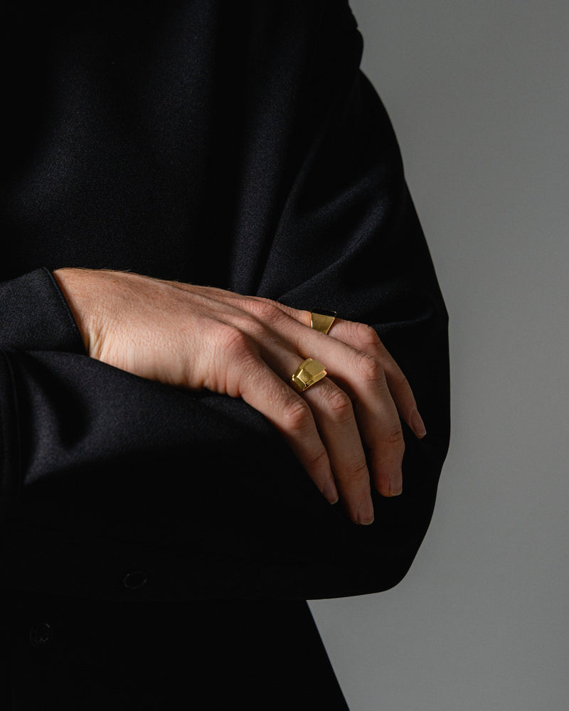 Moderner Herrenlook mit goldenem Siegelring und Edgy Ring das Zusammenspiel aus polierter Oberflaeche und dunklem Onyx Stein wirkt edel und maskulin Sprezzi Fashion