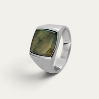 Chevalière 925 Argent Avec Pierre Gris-Vert [Larvikite]